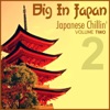 Big In Japan, Vol.2 - Japanese Chillin', 2011
