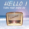 Hello Turn Your Radio On (Radio Popmix) - Single