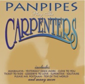 Panpipes Play the Carpenters