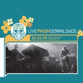 Phish - Roses Are Free (Live)