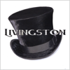 Livingston - Livingston