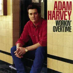 Workin' Overtime (On a Good Time) - Adam Harvey