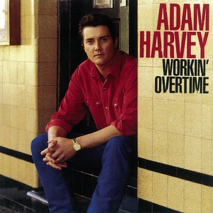 Adam Harvey - She's Gone - Line Dance Musique