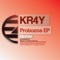 Protozoa - Kr4y lyrics