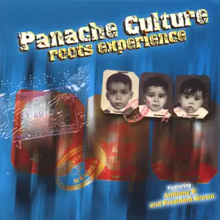 descargar álbum Panache Culture - Roots Experience