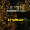 A Cool Veranda - Desmond Williams & Midnite lyrics