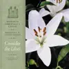 Consider the Lilies album lyrics, reviews, download