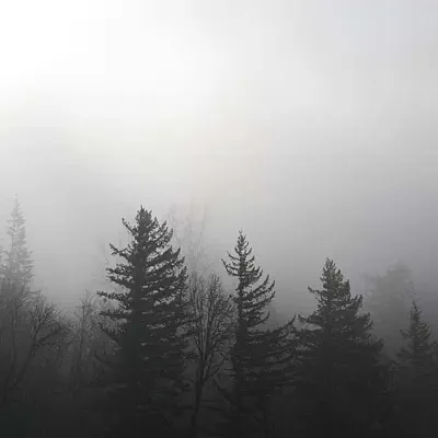 Lost in the Trees - Single - Richmond Fontaine Lost in the Trees - Single - Richmond Fontaine
