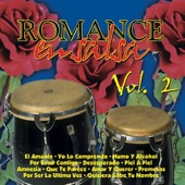 Romance en Salsa, Vol. 2 artwork