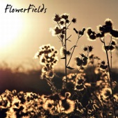 Flowerfields artwork
