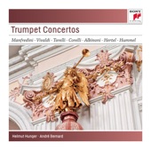 Concerto in E-Flat Major for Trumpet and Orchestra: II. Andante artwork