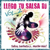 Llego Tu Salsa DJ, Vol. 2 artwork