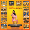 Siva Jyothi - Sri Ganapathy Sachchidananda Swamiji