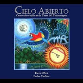 Cielo Abierto artwork