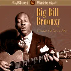 Greatest Blues Licks - Big Bill Broonzy