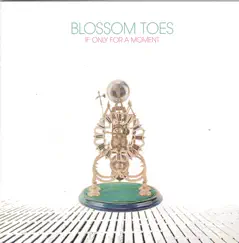 If Only For A Moment by Blossom Toes album reviews, ratings, credits