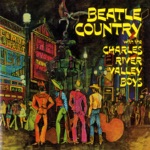 Charles River Valley Boys - I've Just Seen a Face