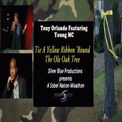 Tie a Yellow Ribbon 'Round the Ole Oak Tree (feat. Young MC) - EP