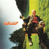 the pillows - Back Seat Dog