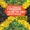 Novaradio | Gentleman Feat. Ras Shiloh - Blessings Of Jah 