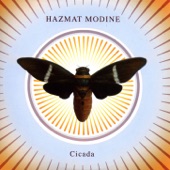 Cicada artwork