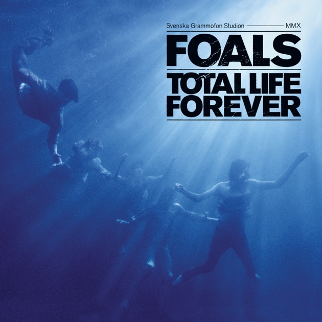 Foals Antidotes Zip