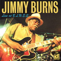 Jimmy Burns & Jesse Fortune - Live At B.L.U.E.S. artwork