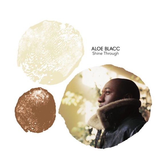 Cover artwork for Shine Through