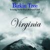 Virginia (Bonus Track Version)