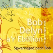 Sgwarnogod Bach Bob a 7 o Sgwarnogod Eraill