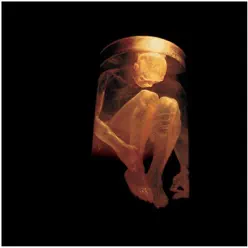 Nothing Safe - The Best of the Box - Alice In Chains