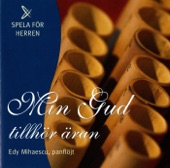 Jesus det skonaste (Arr. R. Farstad) artwork