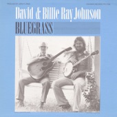 David and Billie Ray Johnson - Blue Grass Breakdown