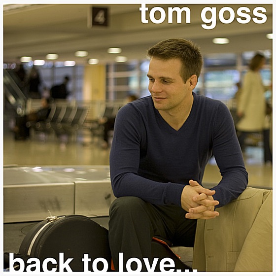 Cover artwork for Lover