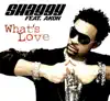 What's Love (feat. Akon) - EP album lyrics, reviews, download
