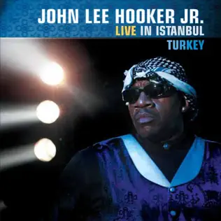 baixar álbum John Lee Hooker, Jr - Live in Istanbul Turkey