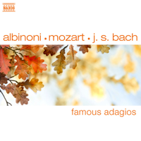 Various Artists - Famous Adagios artwork