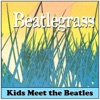 Beatlegrass - We Can Work It Out