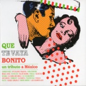 Que Te Vaya Bonito - Un Tributo a México artwork