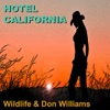 Hotel California, 2010