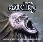 Their Law by The Prodigy