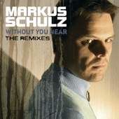Without You Near (The Remixes) artwork