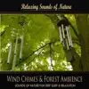 Wind Chimes & Forest Ambience album lyrics, reviews, download