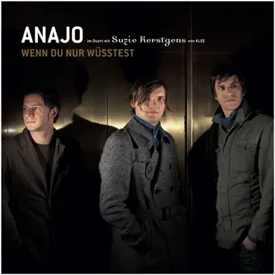Wenn du nur wüsstest - Single - Anajo