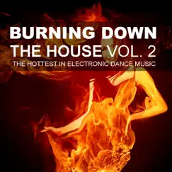 Burning Down the House, Vol. 2 - The Hottest In Electronic Dance Music by Various Artists album reviews, ratings, credits