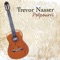 You Raise Me Up - Trevor Nasser lyrics