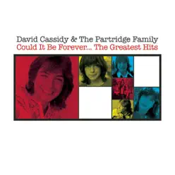 Could It Be Forever - The Greatest Hits - The Partridge Family