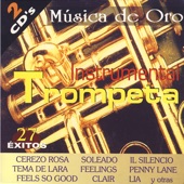 Instrumental Trompeta (27 Hits in Trumpet) artwork
