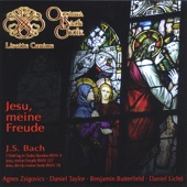 Jesu, Meine Freude, BWV 227: SSA Denn Das Gesetz Des Geistes artwork