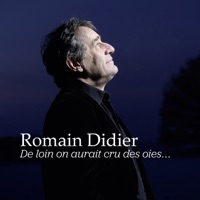 Romain Didier - Pétasse Blues Romain Didier - Pétasse Blues